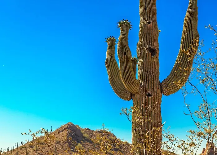 Desert Foothills Holiday home Phoenix