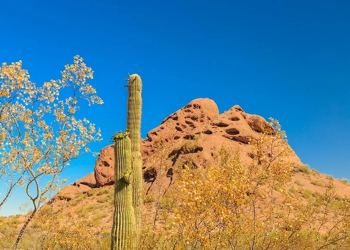 Desert Foothills *